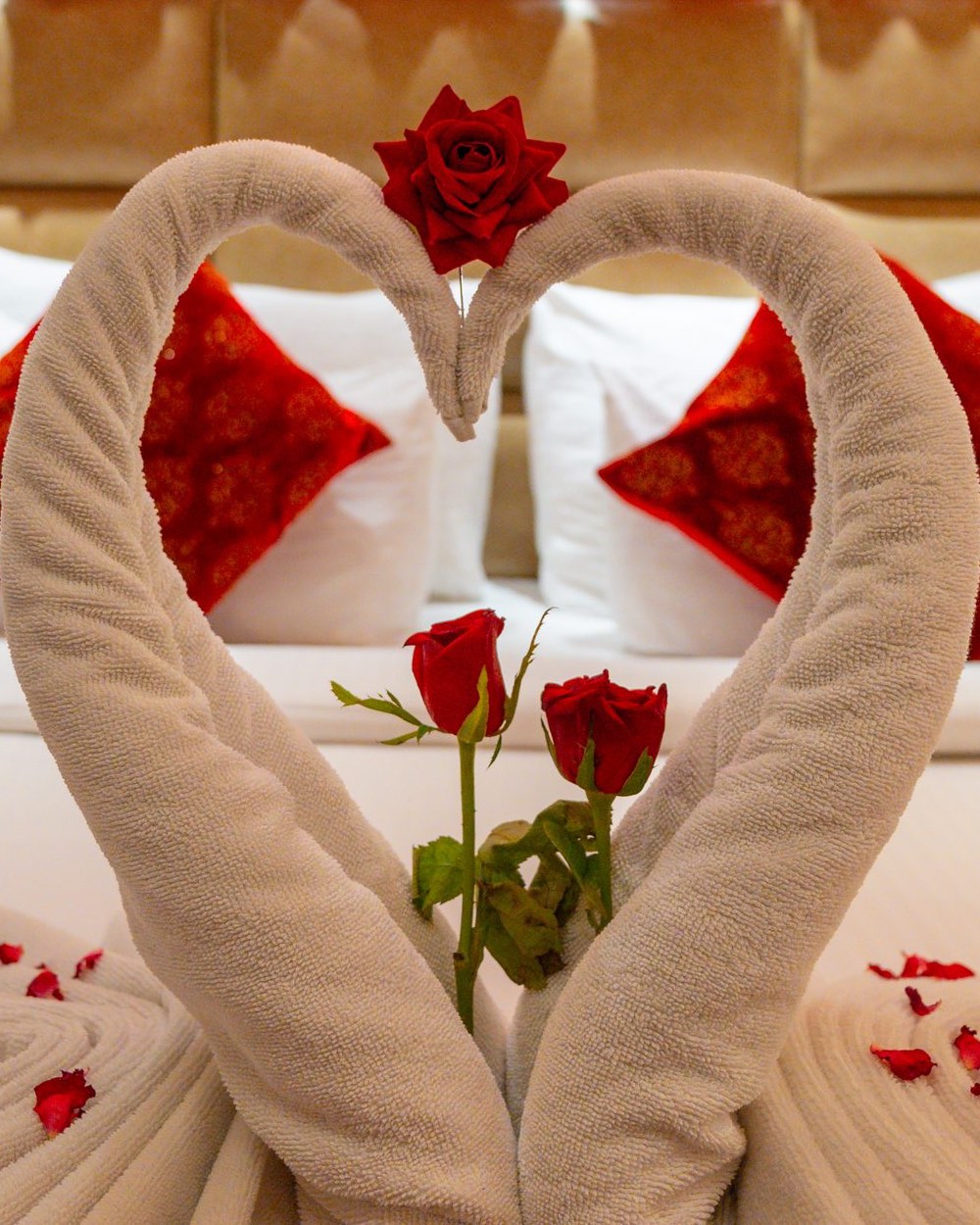 A bed dressed for a wedding night, towel swans, red roses and rose petals